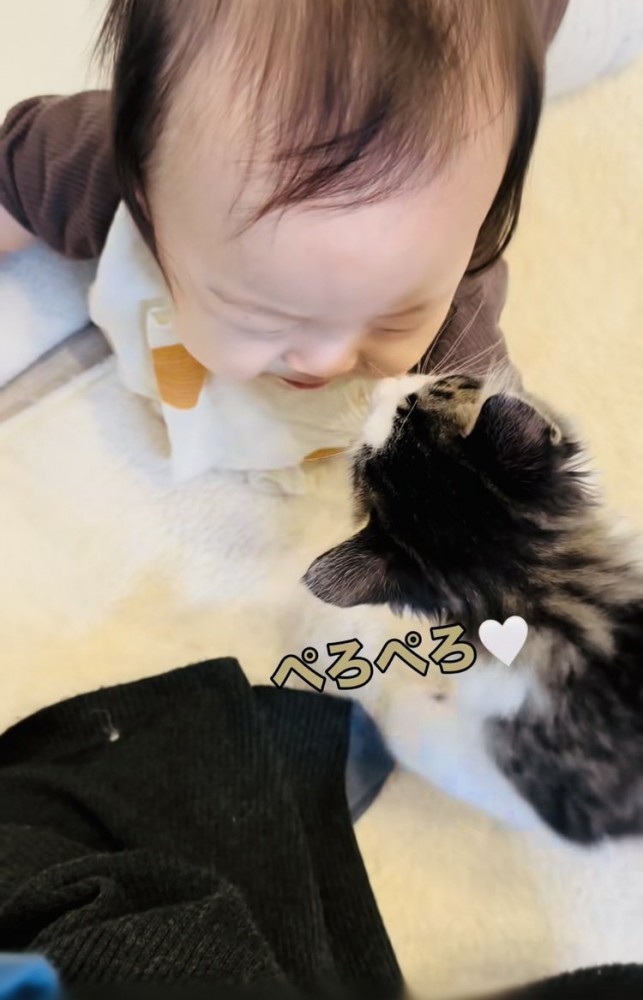 赤ちゃんの頬を舐める子猫