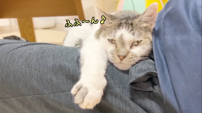 ふふ〜ん