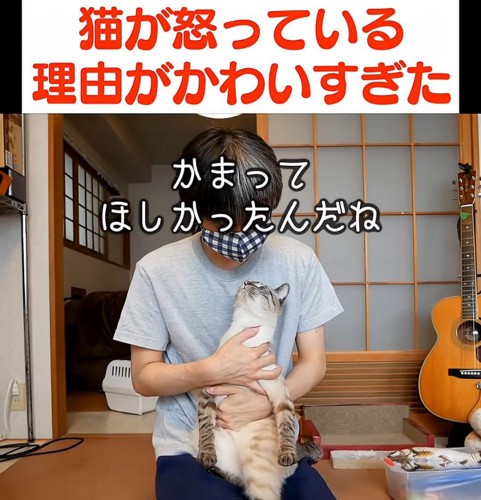 人の顔を見上げる猫