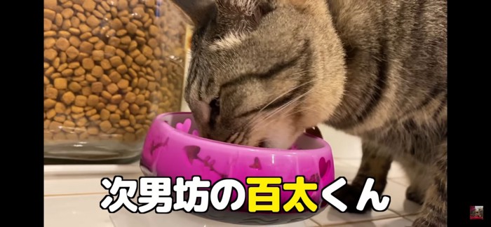 食べる