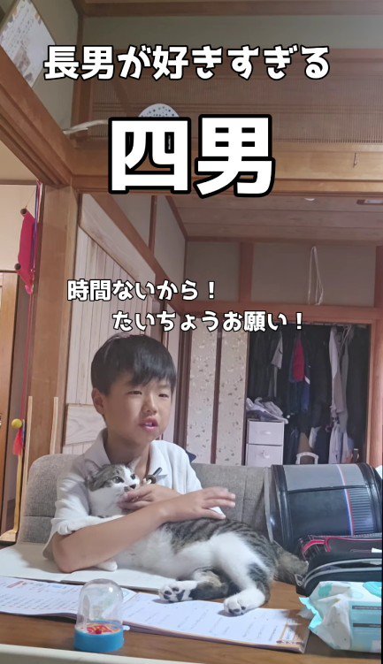 宿題をしている男の子と猫
