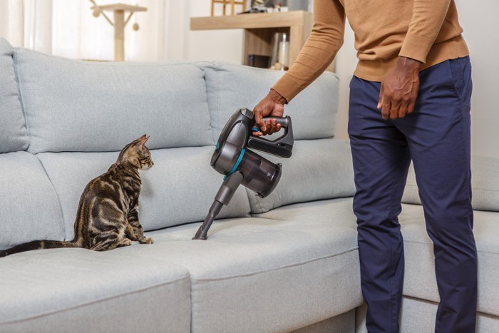 猫毛のソファに掃除機をかける人