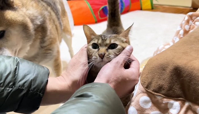 お出迎えするリタちゃん