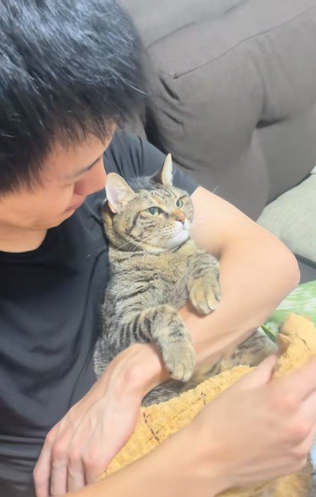 人に抱かれている猫