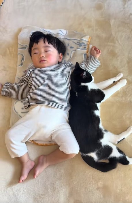 寝ている赤ちゃんに背中をくっつけて眠る猫