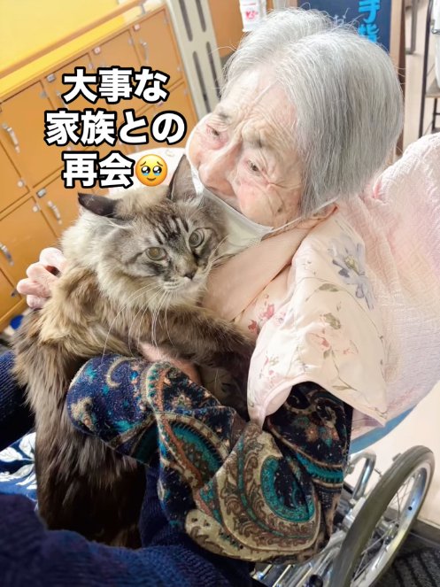 おばあちゃんに抱きしめられている猫(カメラ目線)