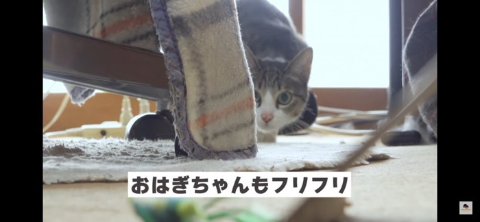 フリフリ