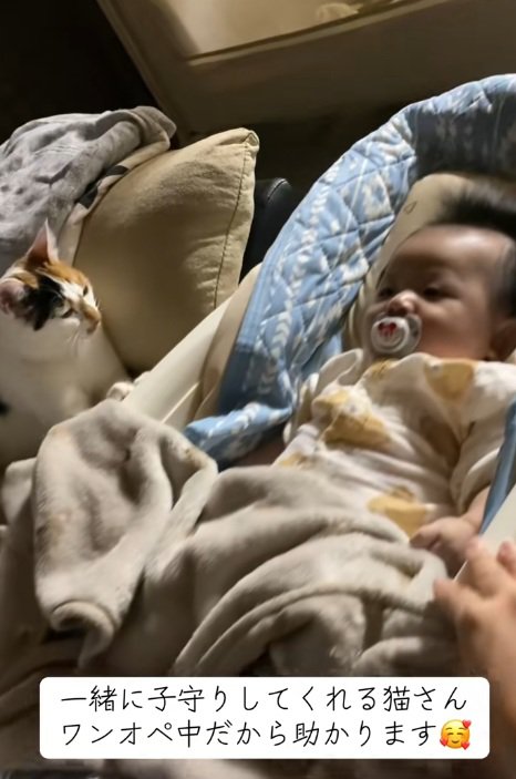 赤ちゃんがいるベビーベッドに手をかけているミケ猫