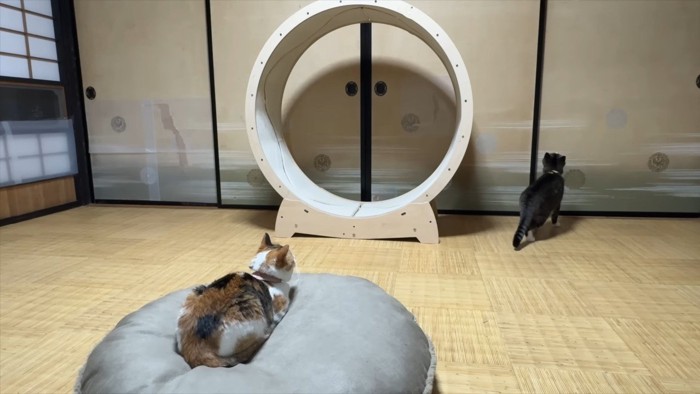 襖の方へ