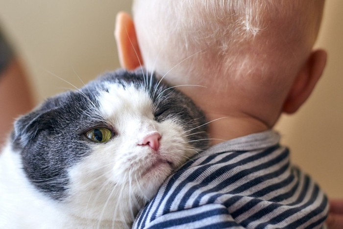 赤ちゃんにすり寄る猫