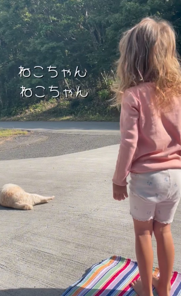 猫を呼ぶ女の子