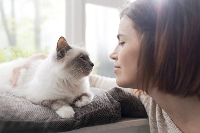 窓辺で見つめ合う女性と猫