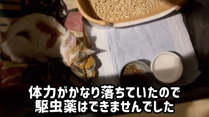 テロップ「体力がかなり～」