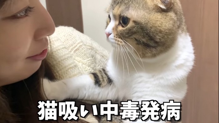 飼い主を目を合わせる猫