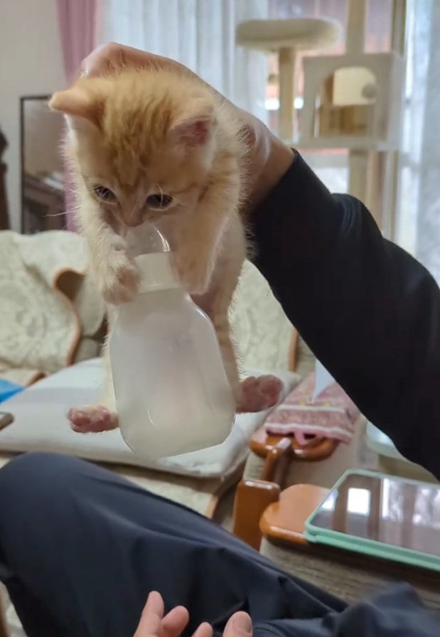 哺乳瓶を持つチャッピーくん