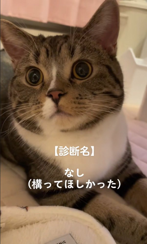 診断結果