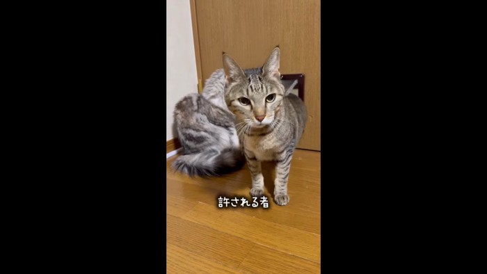 出てきたゆずくん