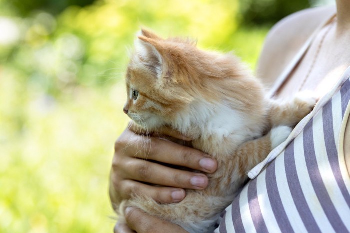 子猫を抱く女性