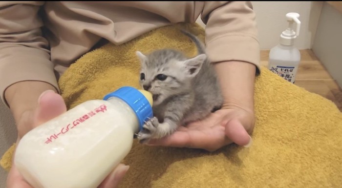 ミルクを飲むおへそちゃん