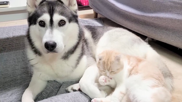 くつろぐふたり