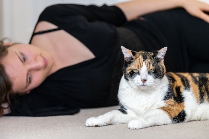 横になる女性と少し離れてくつろぐ猫