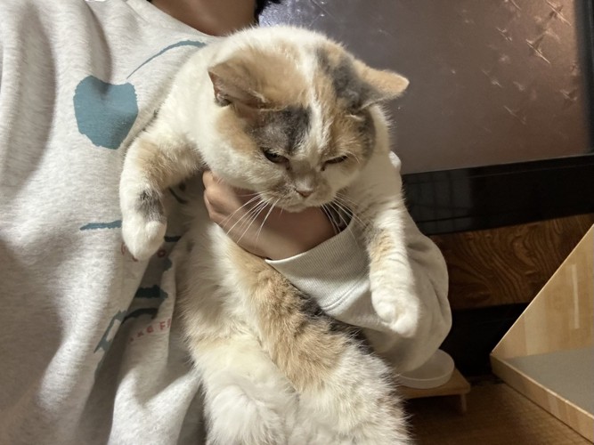 抱っこされるねねちゃん