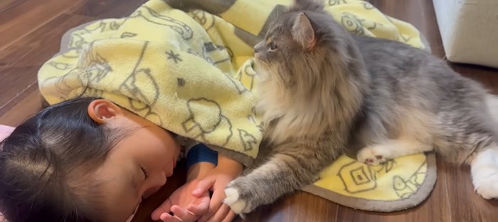 寝ている子どもと猫