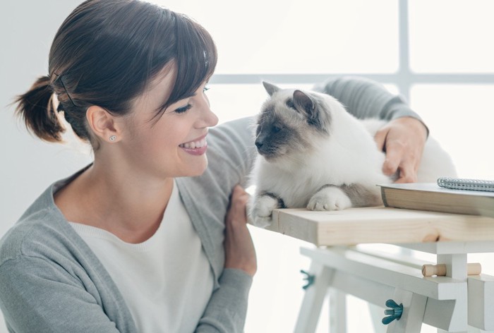 猫と見つめある女性