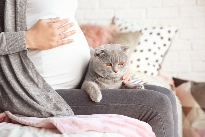 妊婦さんと猫