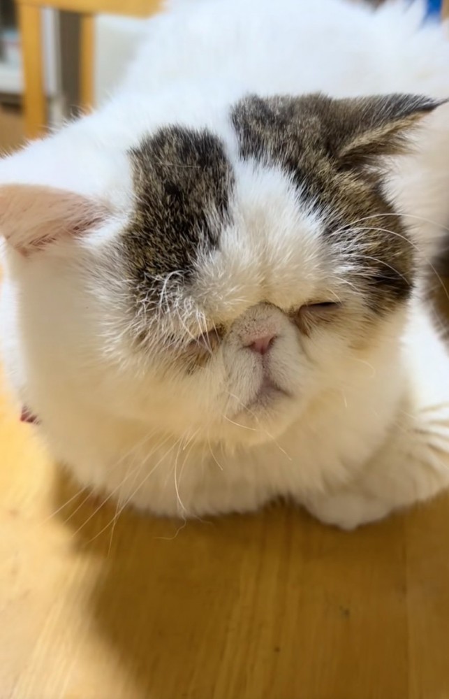 寝た