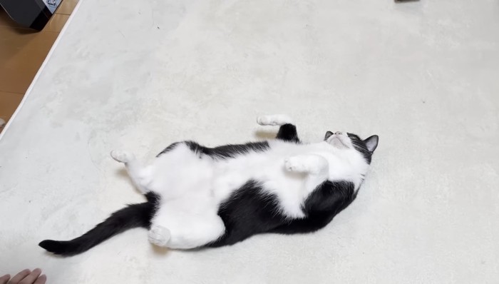 うらめしや