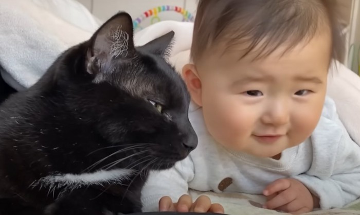 赤ちゃんの方を向く猫と笑顔の赤ちゃんのアップ