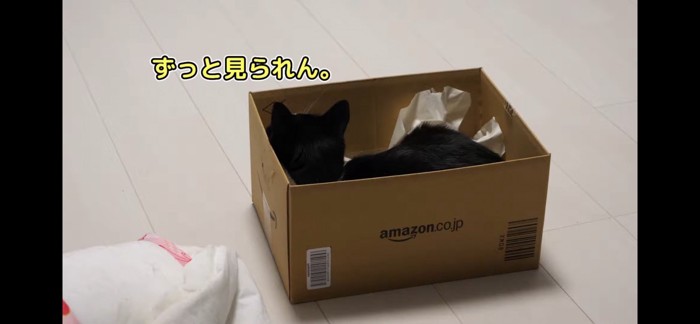 向こうむく