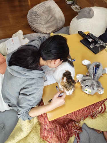 猫吸いをする女の子