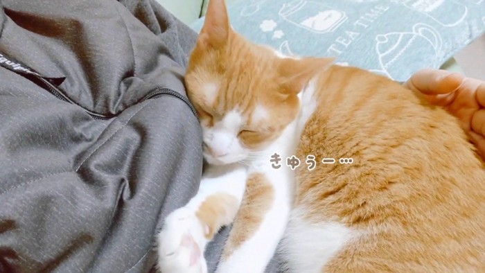 きゅうー…