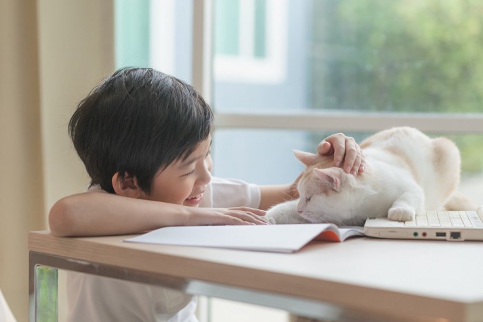 男の子と本の上でくつろいでいる猫