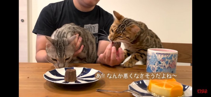 食べる