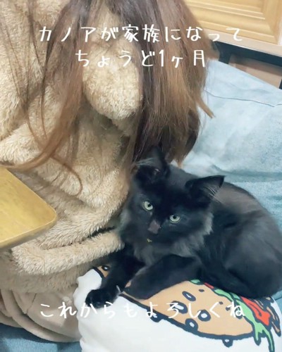 人の後ろに座る子猫