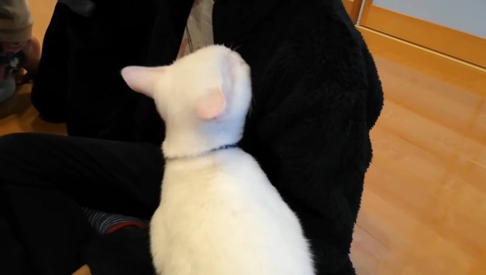 胸の辺りを