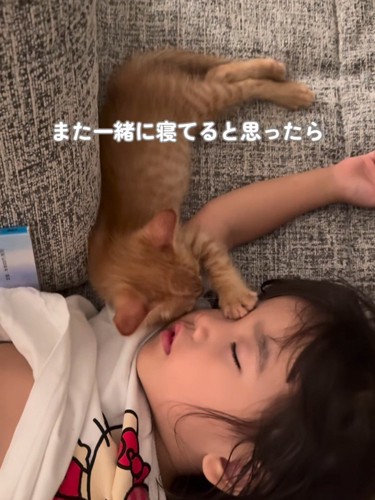 寝ている子どもの目に前足を乗せる子猫