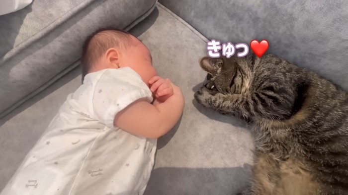 テロップ「きゅっ」