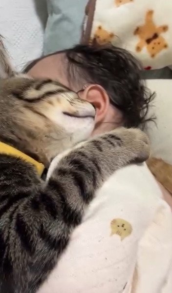 眠る赤ちゃんと子猫