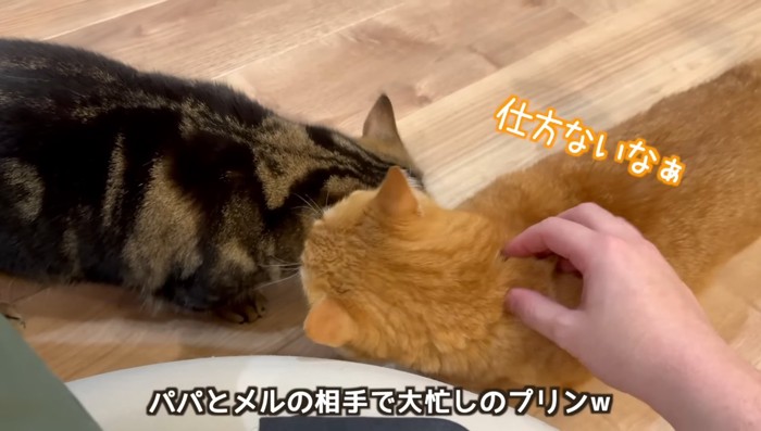 仕方ないなぁ
