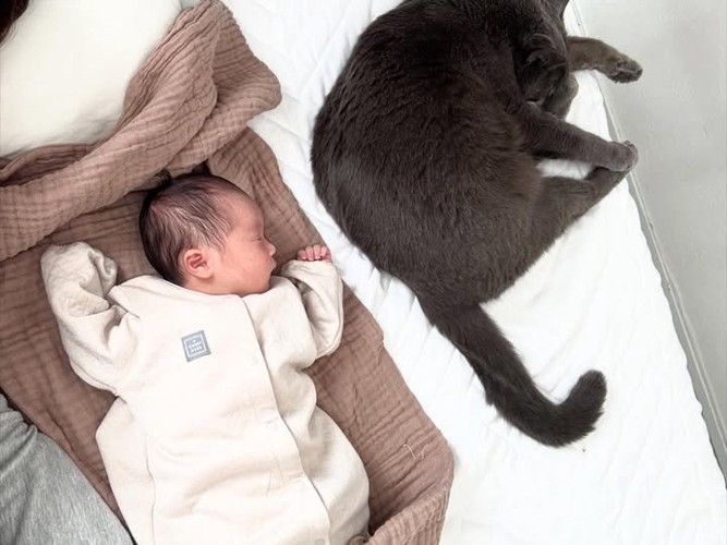 寝ている赤ちゃんと猫