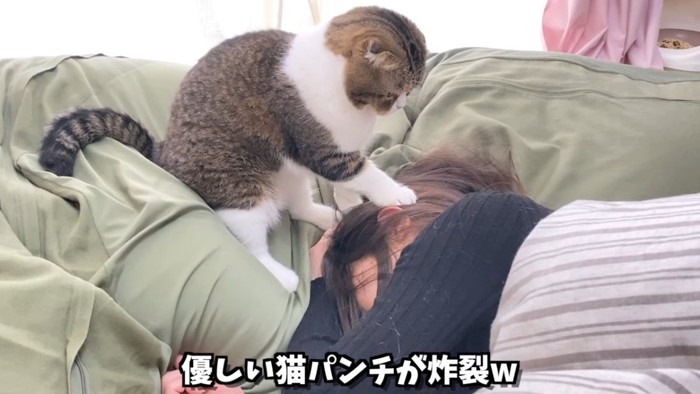 両足を人の頭に乗せる猫