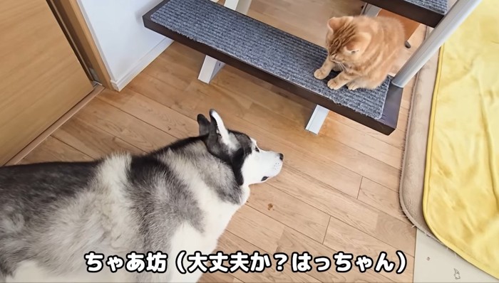 大丈夫か?