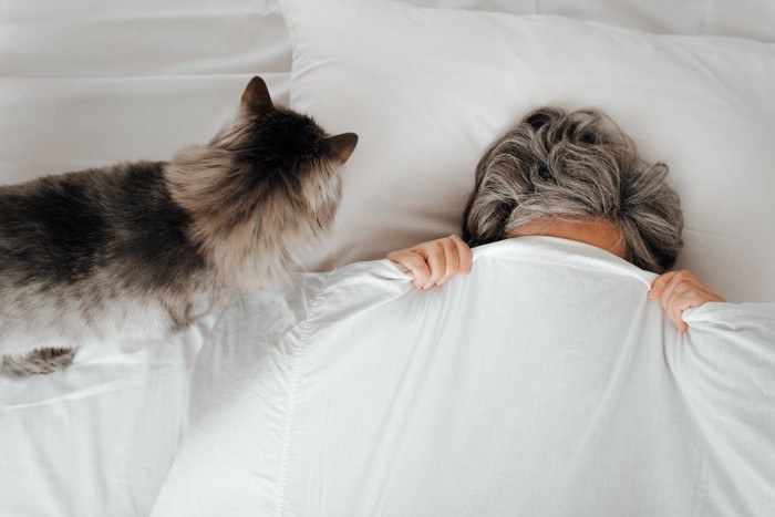 飼い主の頭のそばに行く猫