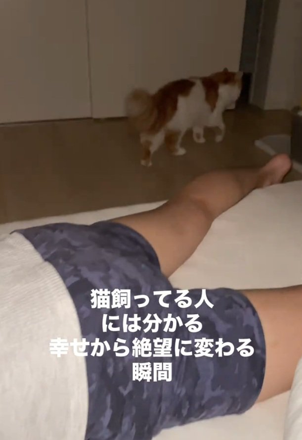 別の部屋へ向かうポテくん