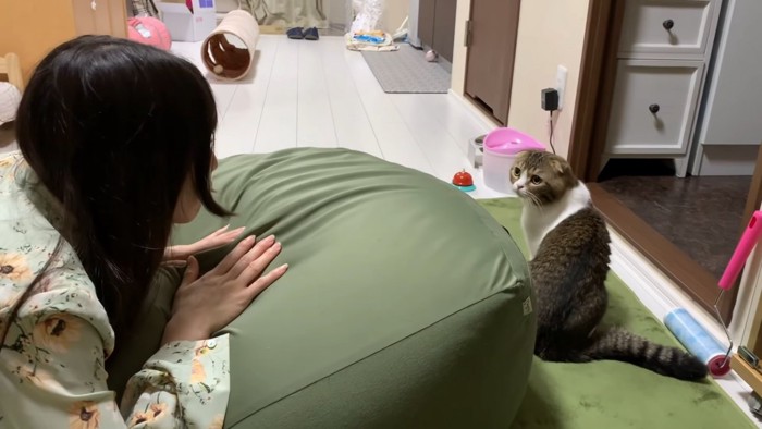 見つめ合う人と猫