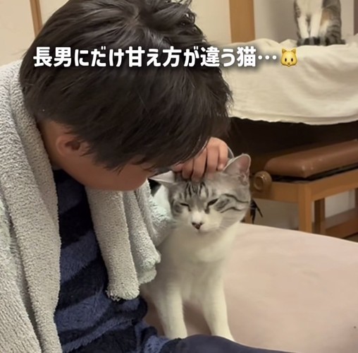 長男くんに頭を撫でられる保護猫